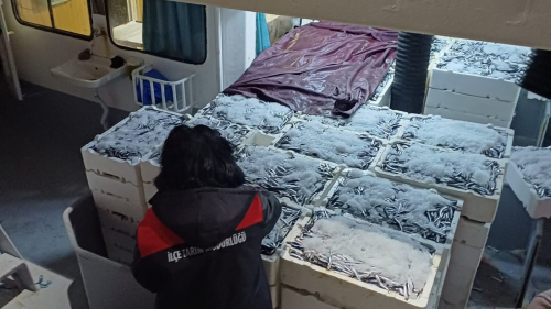 Denizlerin Bereketi İçin Denetimler Aralıksız Sürüyor